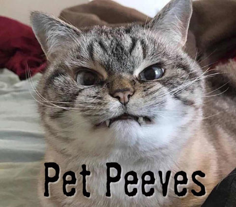 Pet Peeves | Scriptwrecked